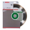 Диск алмазный сплошной по керамике Bosch Professional 250х30/25.4 мм